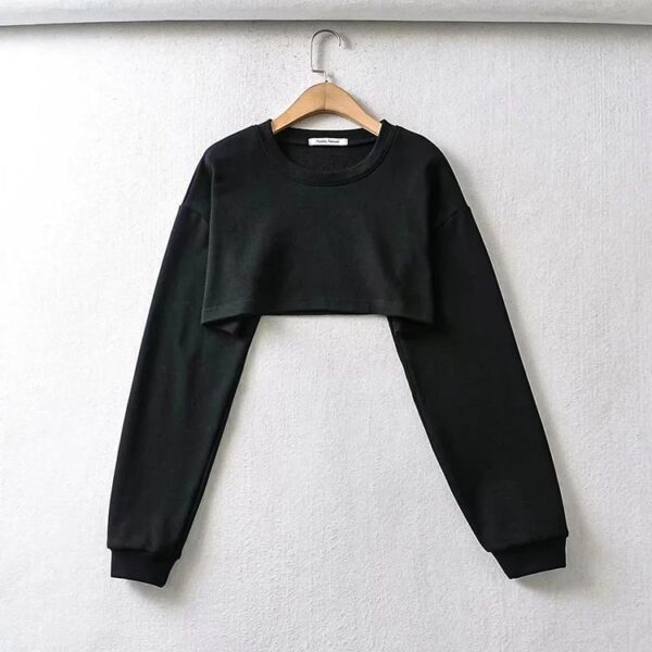 Logo Custom Quality Causal Fashion Crewneck Long Sleeve Crop Top Solid Color Top Women'S Hoodies & Sweatshirts - Image 3